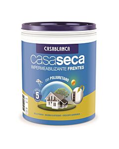 Casaseca Impermeabilizante De Frentes 1.25 Kg