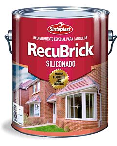 Sinteplast Recubrick Siliconado Transparente 1lt